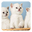 icon Kittens Live Wallpaper(Gattini Live Wallpaper) 3.5