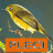 icon Master Kicau Pleci(Maestro Kicking Pleci) 1.4