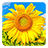 icon Golden Sunflower Live Wallpaper(LWP Golden Girasole) 3.5
