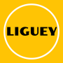 icon Liguey