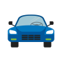 icon AMP(Car Information Program
)