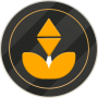 icon B Gold Network