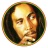 icon 1.7