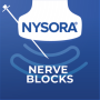icon Nerve Blocks(NYSORA Nerve Blocks)