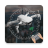 icon GoFlyD.J.IDrone(Fly Go per modelli di droni DJI) 11.0