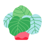 icon A Plant Care App()