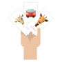 icon Doman Cards(Carte Doman)