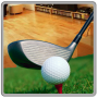 icon Golf Tournament 3D(Torneo di golf 3D)