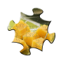 icon Jigsaw Puzzles (Puzzle)