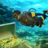 icon scuba diver treasure hunt(Scuba Diver Swimming Treasure) 1.13