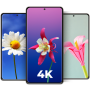 icon Cool Flower Wallpapers 4K | HD ()