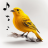 icon Bird Calls(Chiamate, suoni e suonerie di uccelli) 13.2.2