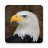 icon Eagle Sounds(Suoni e suonerie Eagle) 2.9