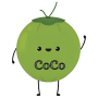 icon CoCo Network