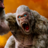 icon Monster Dinosaur Evolution: King Kong Games 2021(Mostro Dinosauro Evoluzione: King Kong Giochi 2021
) 1.0.2