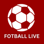 icon Live Football TV Euro 2024