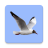 icon Birds of Europe(Birds of Europe Field Guide) 1.0.5