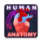 icon Human Anatomy E Theories(Anatomia umana E Teorie
) 0.32