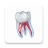icon Dental Illustrations(3D Illustrations) 2.0.94