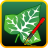 icon Ivy Draw(Ivy Draw: disegno vettoriale) 1.34