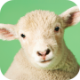 icon Sheep Sounds (Suoni di pecora)