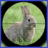icon Rabbit Hunter(Cacciatore di conigli) 3.6