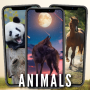 icon Animals Wallpaper HD 4K (Animals Wallpaper HD 4K
)