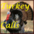icon Turkey Calls HD(La Turchia chiama HD) 1.5