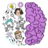icon Brain Help(Cervello Aiuto: Giochi cerebrali) 1.0.16
