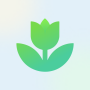 icon Plant App - Plant Identifier (Plant App - Identificatore di piante)