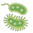 icon Bacteria(Batteri: tipi, infezioni) 1.0.34.127