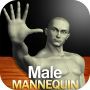 icon Male Mannequin(Male Mannequin
)