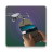 icon Go Fly Drone(Fly Go per drone fotocamera Visualizza) 1.2.2