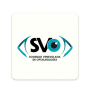 icon SVO(SVO Carnet)