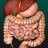 icon Internal Organs 3D Anatomy(Organi interni in anatomia 3D) 3.1