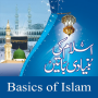 icon basics of Islam(Impara le basi dell'Islam)