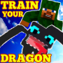 icon Mod Train Your Dragon Craft 🌚 (Mod Train Your Dragon Craft?
)