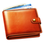 icon Wallet(Portafoglio DEX - Entrate e uscite)