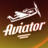 icon AviatorNew level(Aviator - New Level
) 2.12