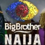 icon Big Brother Naija 2021 'BBNaija' News (Grande Fratello Naija 2021 'BBNaija' News
)