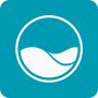 icon ICO(ICO - Nato per semplificare drasticamente la cura della piscina
)