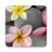 icon Stones in Water Live Wallpaper 1.0.8