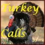 icon Turkey Calls HD(La Turchia chiama HD)