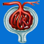 icon ru.medsoftpro.skfcalc(Calcolatore GFR russo)