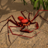 icon Life of Phrynus(Life of Phrynus - Whip Spider) 2.0