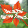 icon Beautiful Nature Sounds(Bei suoni della natura)