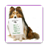icon TRAIN A DOG(COME ADDESTRARE FACILMENTE UN CANE PER IL 2020) 22.0