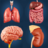 icon Organ Anatomy(Anatomia dei miei organi) 3.6