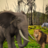 icon Elephant Attack Simulator(Elephant Attack Survival Game) 1.5