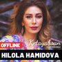 icon OfflineMusic(Hilola Hamidova 2021
)